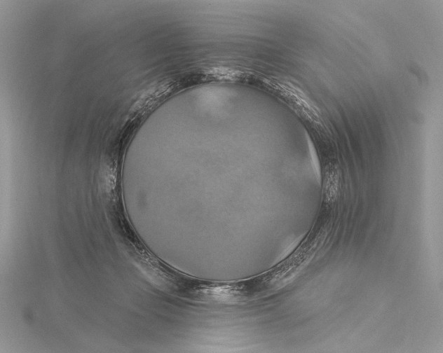 X0000115450365200912021011