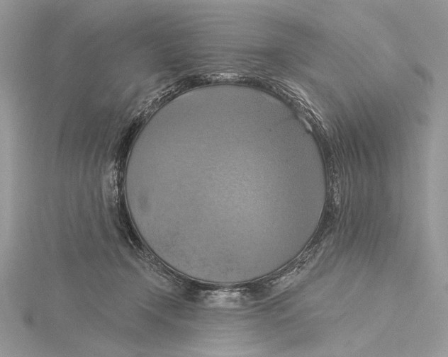 X0000115450366200912021011