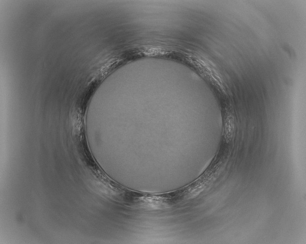 X0000115450367200912021011