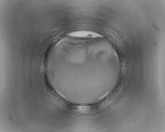 X0000115450371200912021011