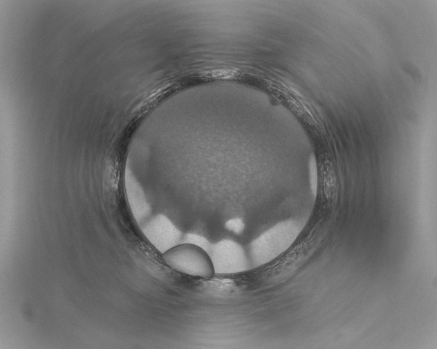 X0000115450374200912021011