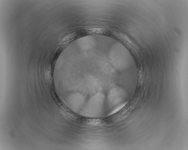 X0000115450377200912021011