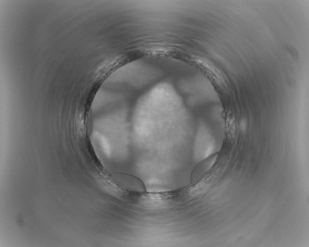 X0000115450381200912021011