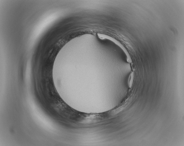 X0000115450382200912021011