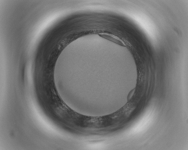 X0000115450383200912021011