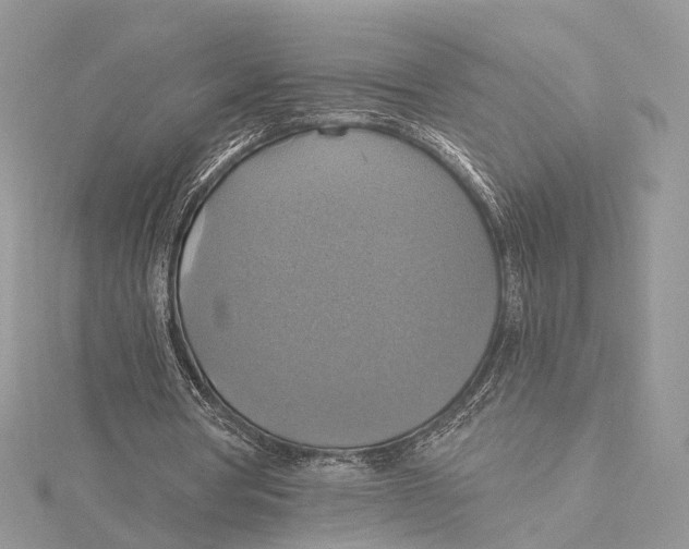 X0000115450386200912021011