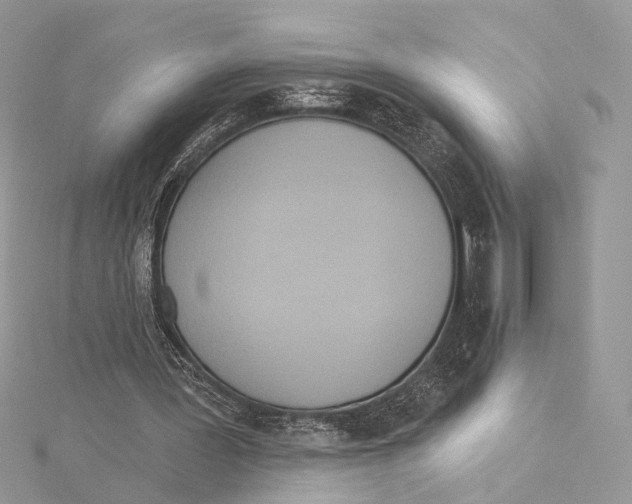 X0000115450387200912021011