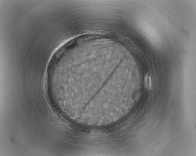 X0000115450388200912021011