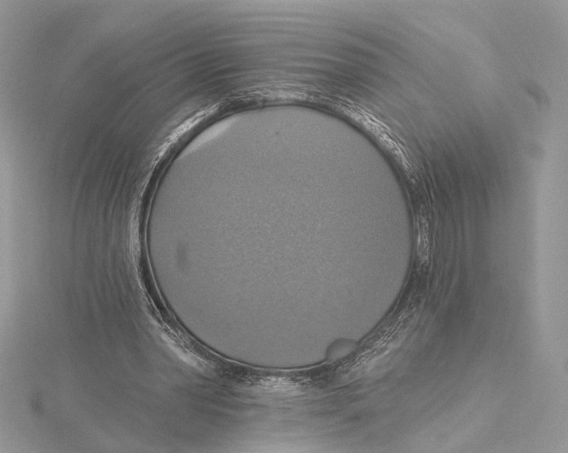 X0000115450390200912021011