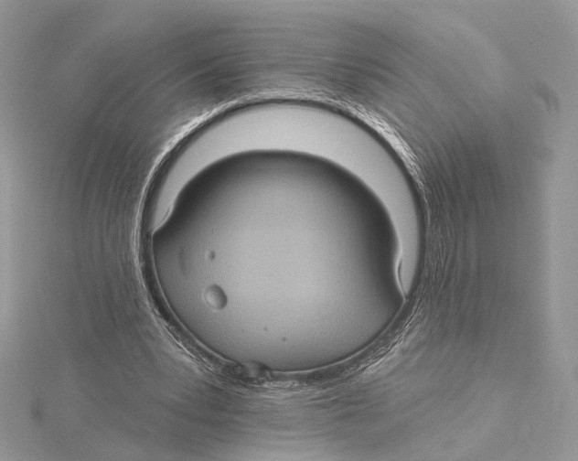 X0000115450391200912021011