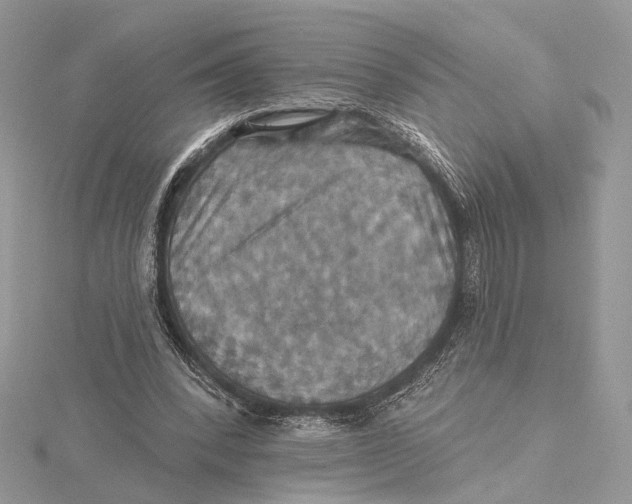 X0000115450392200912021011