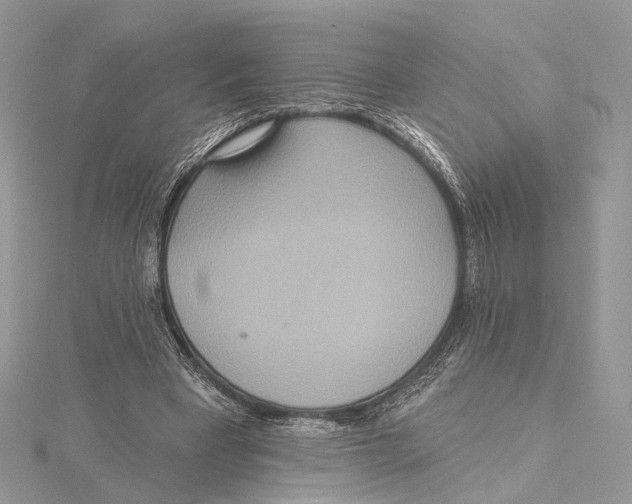 X0000115450393200912021011