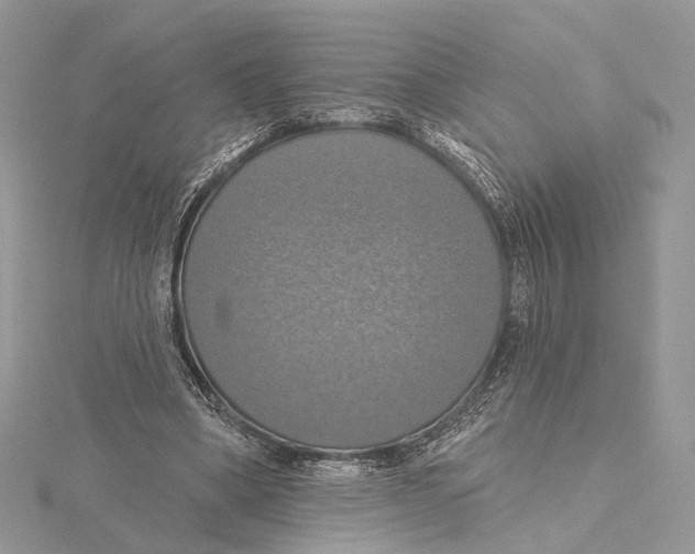 X0000115450394200912021011