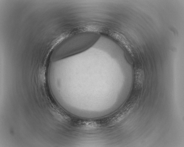 X0000115450395200912021011