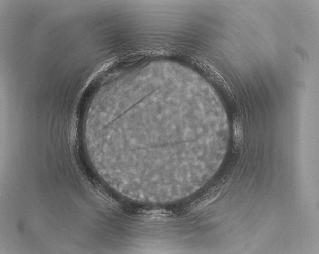 X0000115450396200912021010