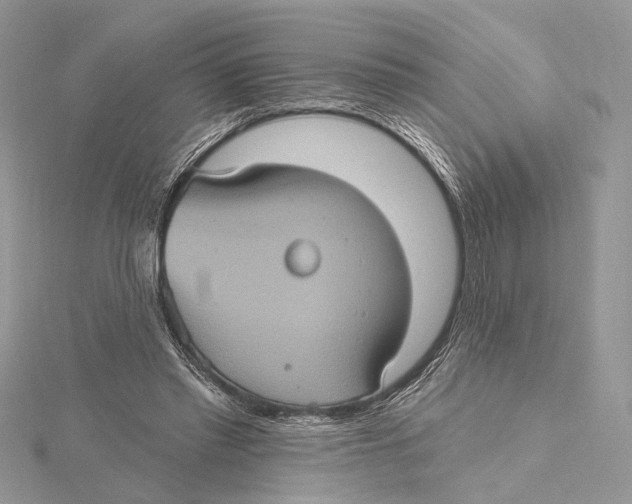 X0000115450397200912021010