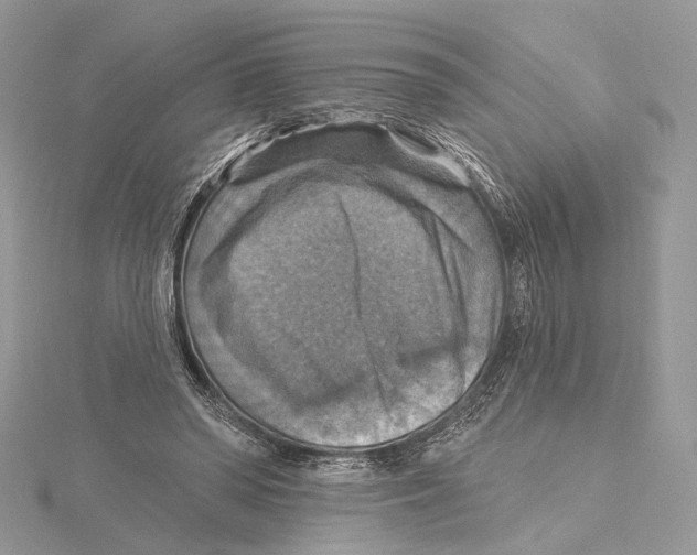 X0000115450398200912021010