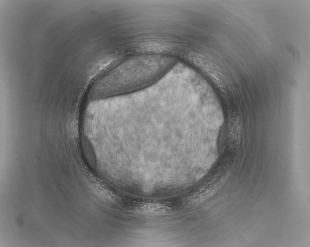 X0000115450399200912021010