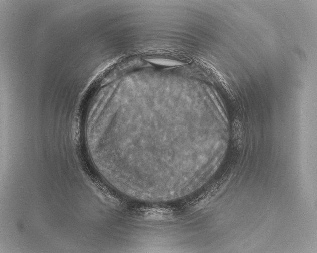 X0000115450400200912021010