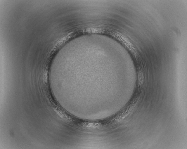 X0000115450401200912021010