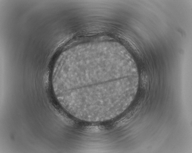 X0000115450404200912021010