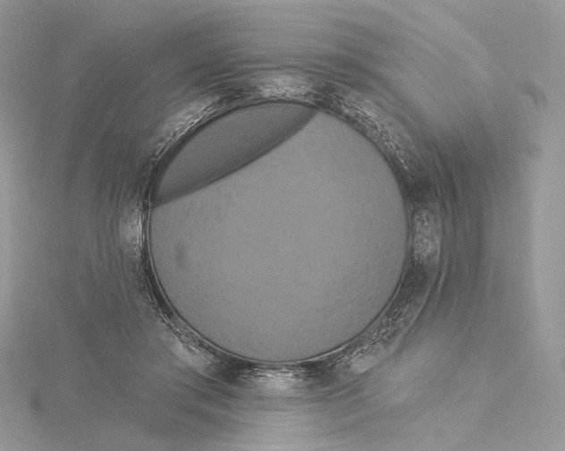 X0000115450405200912021010