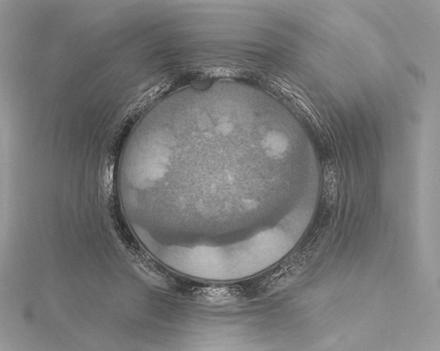 X0000115450406200912021010