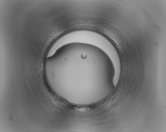 X0000115450407200912021010