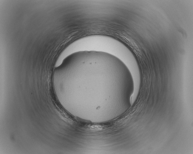 X0000115450409200912021010