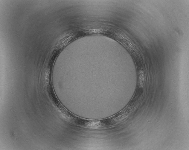 X0000115450410200912021010