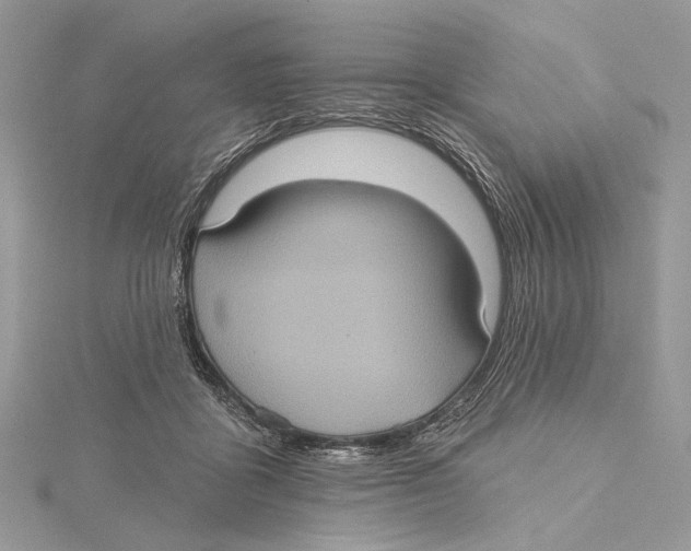 X0000115450411200912021010