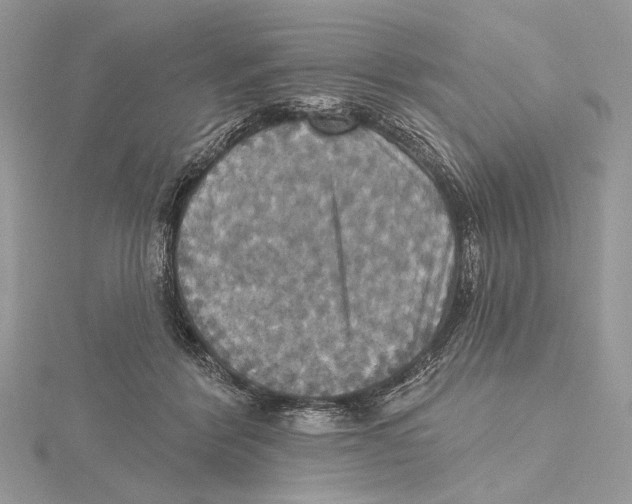 X0000115450412200912021010