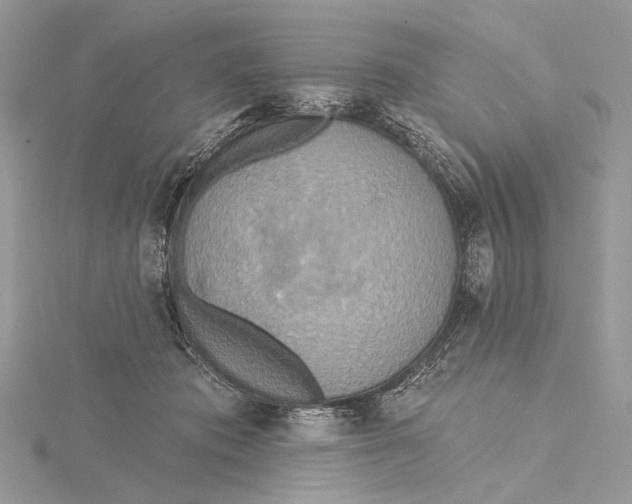 X0000115450413200912021010