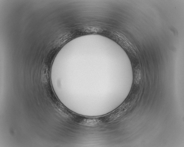 X0000115450414200912021010