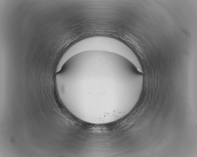 X0000115450415200912021010