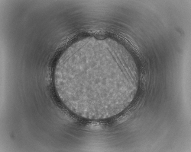 X0000115450416200912021010