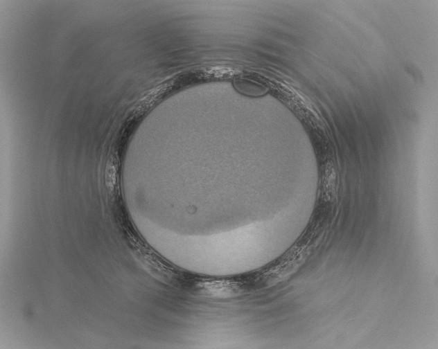 X0000115450417200912021010