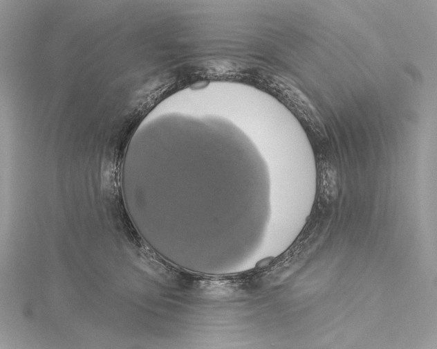 X0000115450419200912021010