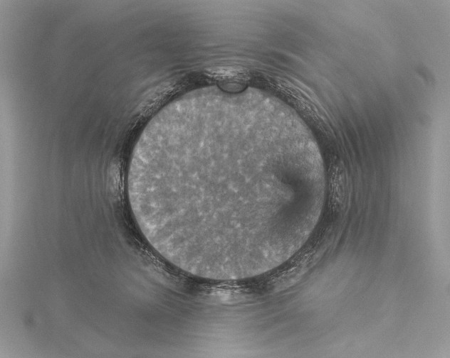 X0000115450420200912021010