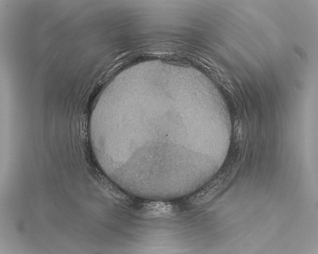 X0000115450421200912021010