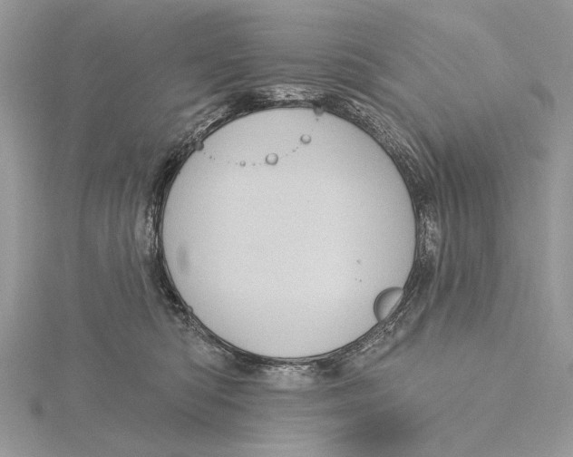 X0000115450422200912021010