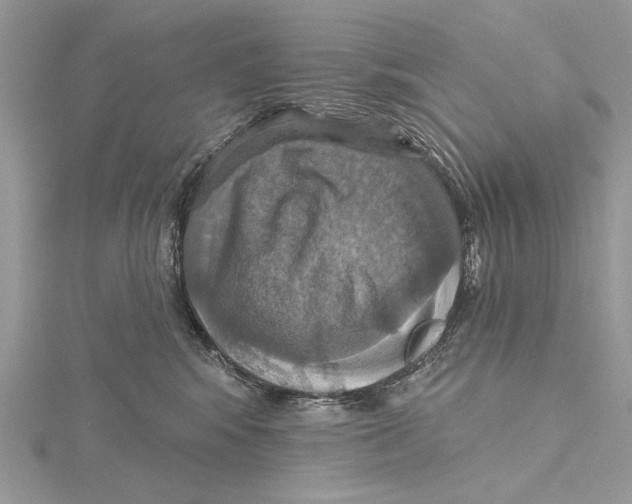 X0000115450424200912021010