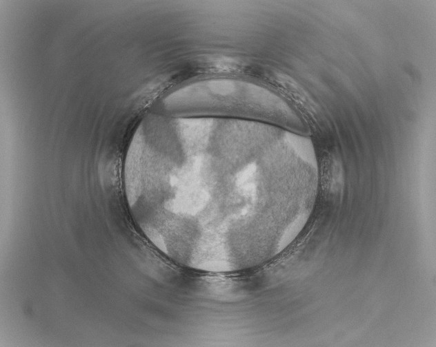 X0000115450425200912021010