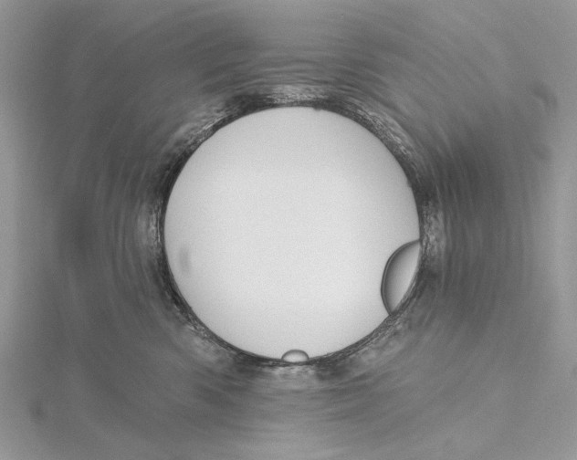 X0000115450426200912021010