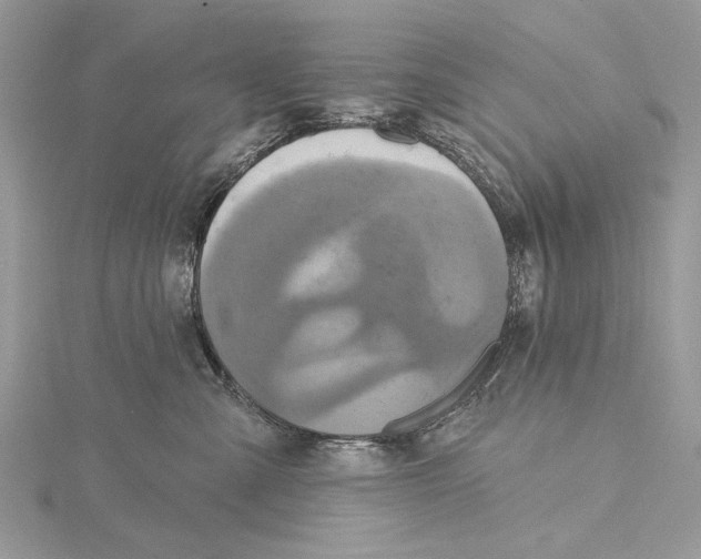 X0000115450427200912021010