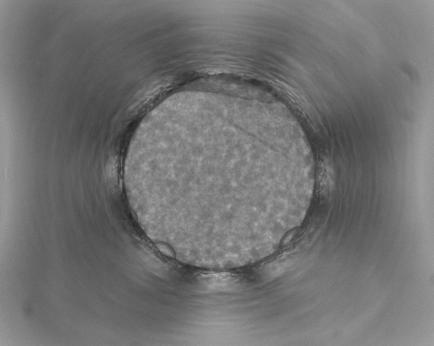 X0000115450428200912021010