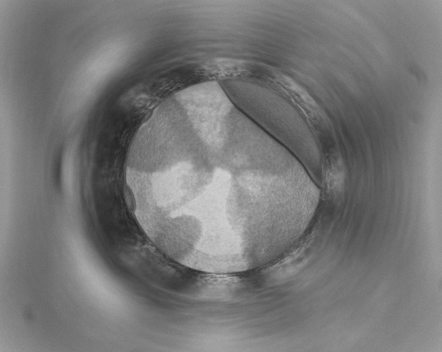 X0000115450429200912021010