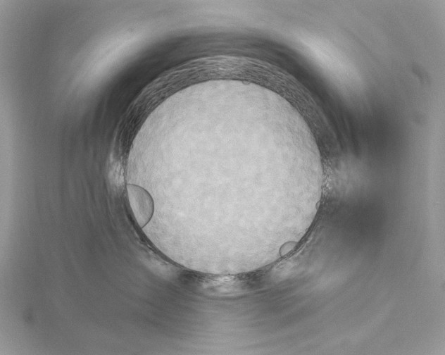 X0000115450431200912021010