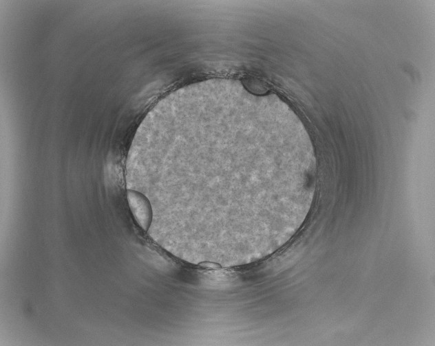 X0000115450432200912021010