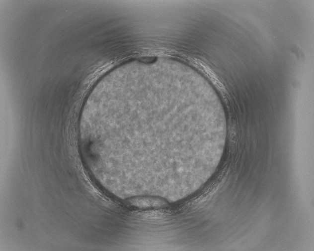 X0000115450433200912021009